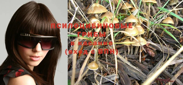 PSILOCYBIN Белоозёрский