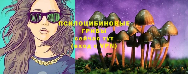 ешки Беломорск