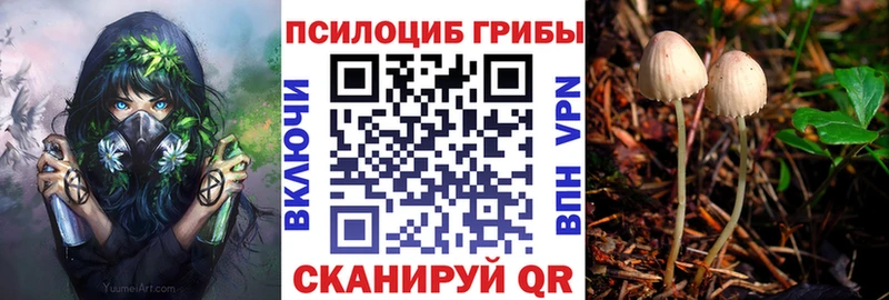 Купить где  Белёв  Псилоцибиновые грибы Magic Shrooms 