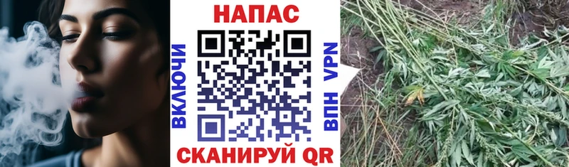 Каннабис White Widow  Купить закладки  Белёв 